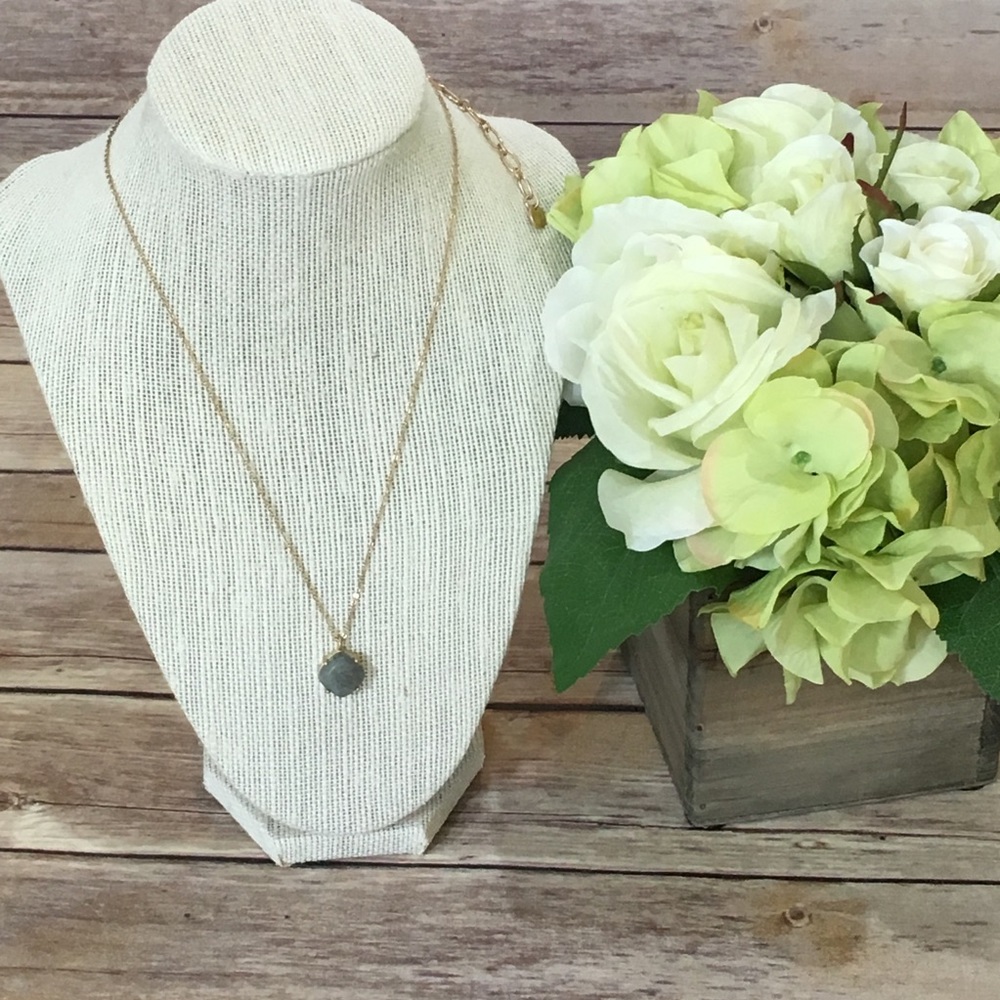 NWT Semi Precious Natural Stone Pendant Necklace